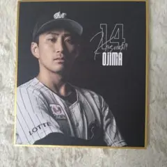 千葉ロッテマリーンズ/小島和哉　ミニ色紙、ブロマイド、アクスタ、缶バッジ