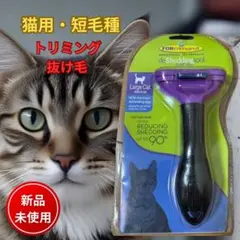 Item thumbnail for item e9079e5a-e688-496e-bbc6-265c3d321794