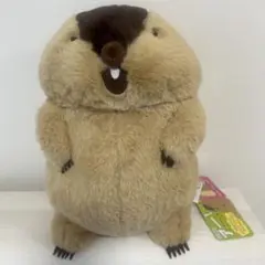 新品未使用タグ付き。マーモットのもっとっと　モア　more やまもと　ぬいぐるみ