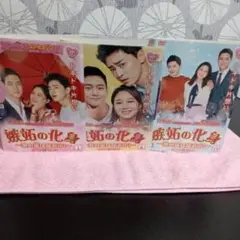 韓国dvd嫉妬の化身.全15枚