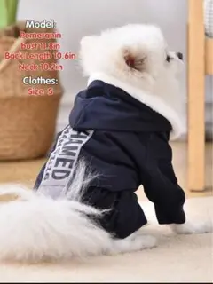 Item thumbnail for item f6a046eb-589f-413a-affa-fe77c7416818