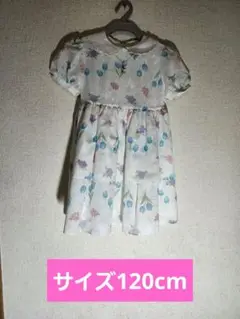 Item thumbnail for item 95ff7d1b-823f-4875-90b9-276cd749421d