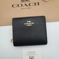 Item thumbnail for item be79ff14-a3f4-49dc-8de4-41da63af80ae