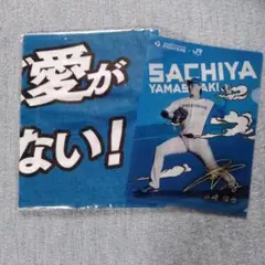 日ハム　タオル　ファィル