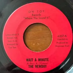 【SOUL 45】THE NEWDAY／WAIT A MINUTE US盤