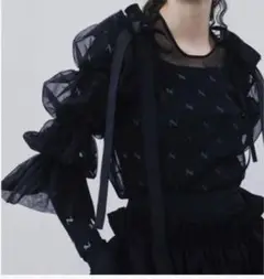 HAENGNAE OMOCHI SHEER TOP / Black【完売カラー】