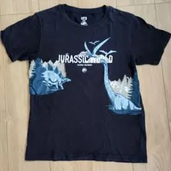 ジュラシック・ワールド Tシャツ 150cm~