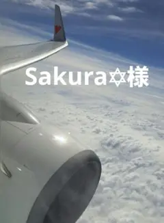 Sakura✡プロフ一読お願い致します✡様
