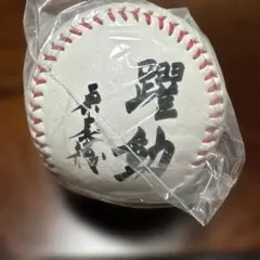 読売ジャイアンツ 2012年 メンバーサインボール