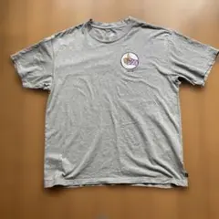 Nike SB グレー Tシャツ Lサイズ