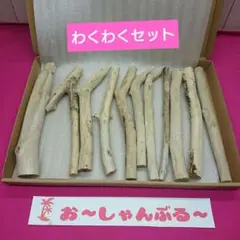 流木セットno.346