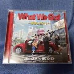 What We Got ～奇跡はきみと～