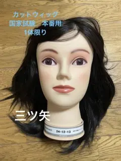 カットウィッグ 美容師 国家試験用