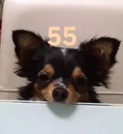 専用❗3点おまとめ