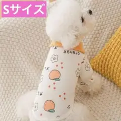 Item thumbnail for item 4dbf710d-dac5-43e6-bc10-5b6f8de2d8ef