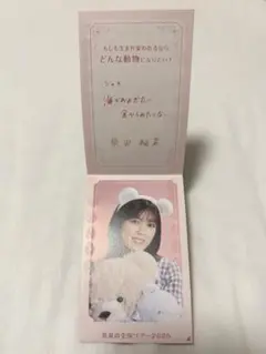 柴田柚菜 NOGIめくり メッセージカード