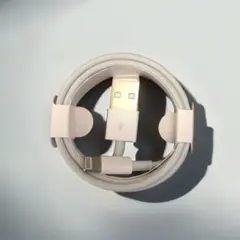 Item thumbnail for item 5ee19fa1-47f8-4917-bb7a-3627f85f3575