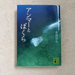 アンマーとぼくら