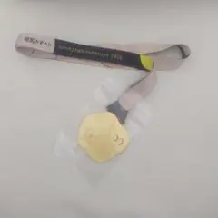 Item thumbnail for item e80d9577-0049-42a8-bf87-8bfd17212399