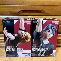 ハイキュー ポージングフィギュア 2種類セット