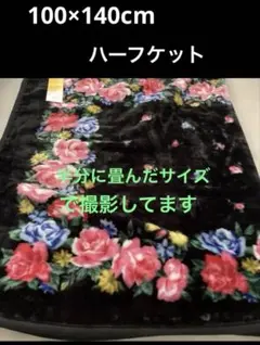 LakeAlster100×140cmハーフケット【新品未使用タグ付き】