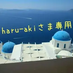 haru-akiさま専用