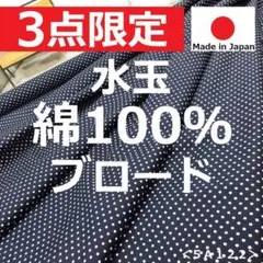 最後の１点＜３ｍ＞綿１００％＊ブロード＊水玉プリント＊ドット＊紺白＊runpo