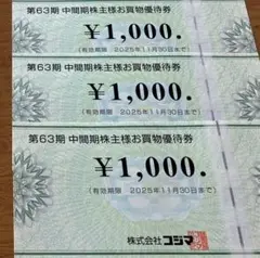 コジマ・ビックカメラ お買物券セット ビックカメラ コジマ 株主優待券セット ¥1,000×12枚 12,000円分