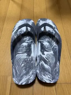 Item thumbnail for item 37106e47-9d82-4f05-a148-ed8b57533d8e