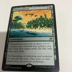 MTG 惑星共生 英語版