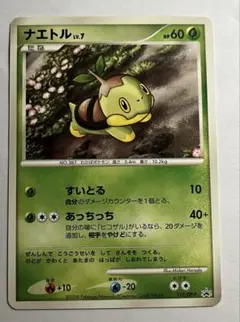 ポケモンカード ナエトル　117/DP‐P　2008年　プロモカード