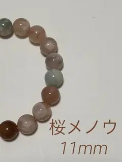 桜メノウ！共生あり　16cm 11mm