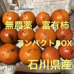 石川県産 無農薬 富有柿12個入り