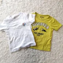 ポケモン&ムシTシャツ2枚セット