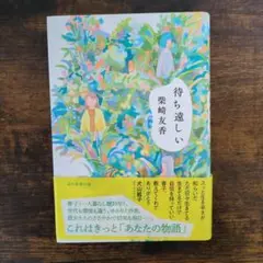 待ち遠しい 紫崎友香 336ページ