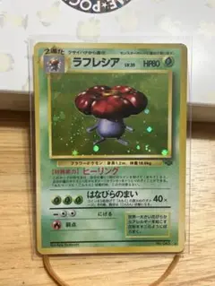 旧裏 ラフレシア LV.35 ポケモンカード　キラ　ホロ