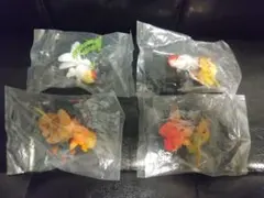 ビーム　金魚立体図鑑 フル彩色フィギュア 　4種
