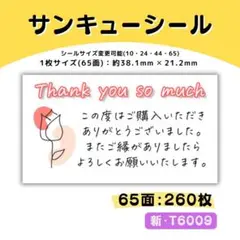 新・T6009／ケアシール 65面×4シート／サンキュー 宛名 おまけ