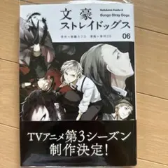 文豪ストレイドッグス 6巻　文スト