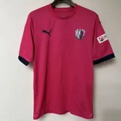 Item thumbnail for item 6f400fb9-2e59-41d3-86f6-34773f017745