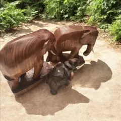 Item thumbnail for item 672765c5-db20-46db-b624-05042c9a2f79