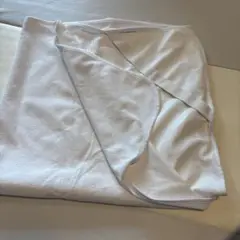 Item thumbnail for item 2475a40e-2a7c-4f4d-a685-8c175ca09690