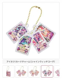 アイカツ ガチャガチャ 大スター宮いちご祭り グッズコレクション2 神崎美月