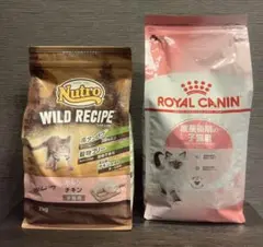 Item thumbnail for item 67a67550-26f7-4443-b72d-b321415d2170