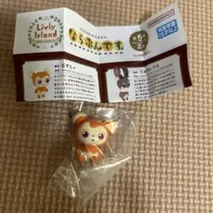 リヴリーアイランドならぶんです。 ビグミー