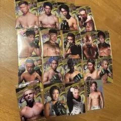 RIZIN ウエハース カード 18枚セット