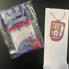 仮面ライダーガヴ クリアポーチ アクリルキーホルダー　ローソン限定　セット売り