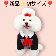 Item thumbnail for item 99744b07-f344-483e-bce7-9dcc5f12db70