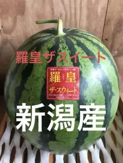 金色羅皇(黄肉西瓜)＋黒玉西瓜(タヒチ)＋アップルメロン２玉 計４玉(千葉県産） 金色羅皇(黄肉西瓜)＋黒玉西瓜(タヒチ) おまけ:アップルメロン2