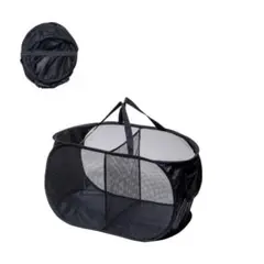 Item thumbnail for item 25794ca5-879c-4a23-ad31-2434a9200a9c